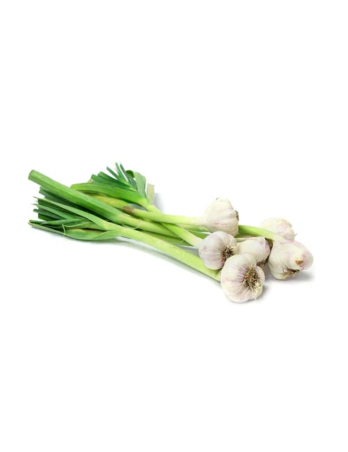 Green Garlic