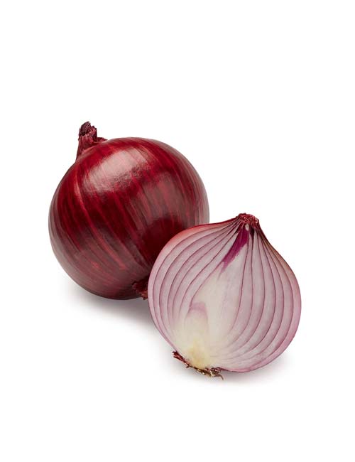 Onion