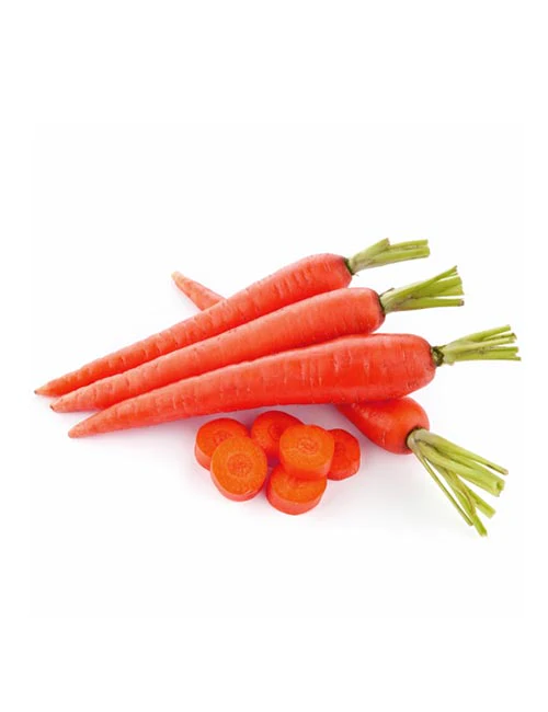 Red carrot