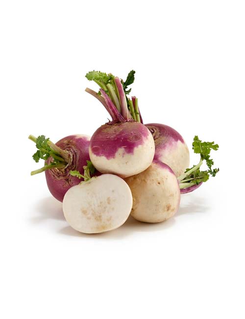 turnip